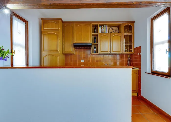 Nyaraló Viola Narbolia