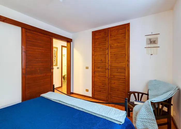 Nyaraló Viola Narbolia