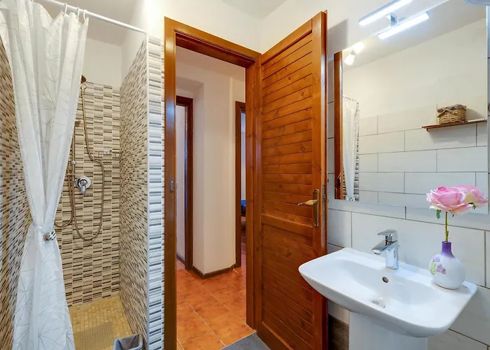 Viola Nyaraló Narbolia